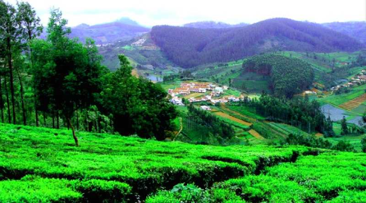 10-best-hill-stations-of-india-ooty