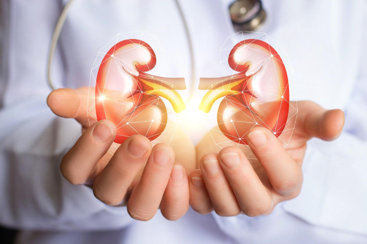 How-to-keep-your-kidneys-healthy