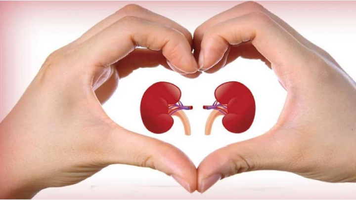 How-to-keep-your-kidneys-healthy-1