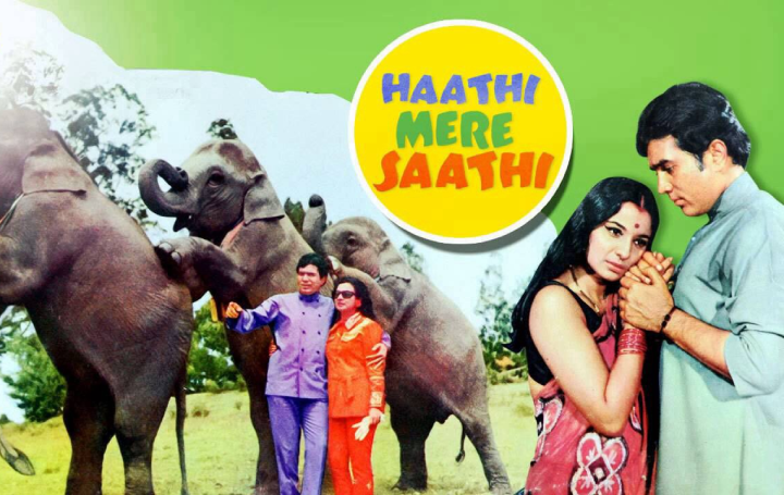 top-10-bollywood-movies-where-animals-stole-the-limelight-haathi-mere-saathi