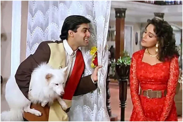 top-10-bollywood-movies-where-animals-stole-the-limelight-hum-aapke-hain-kaun