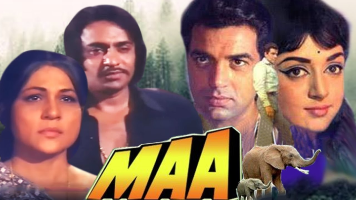 top-10-bollywood-movies-where-animals-stole-the-limelight-maa