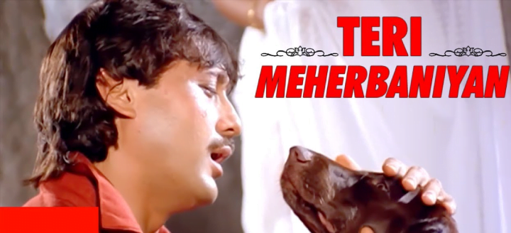 top-10-bollywood-movies-where-animals-stole-the-limelight-teri-meherbaniyan