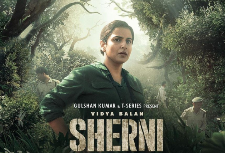 top-bollywood-women-centric-movies-of-the-decade-sherni